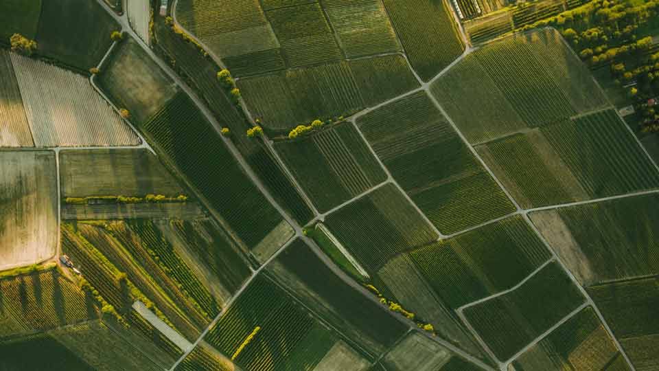 Environmental monitoring application