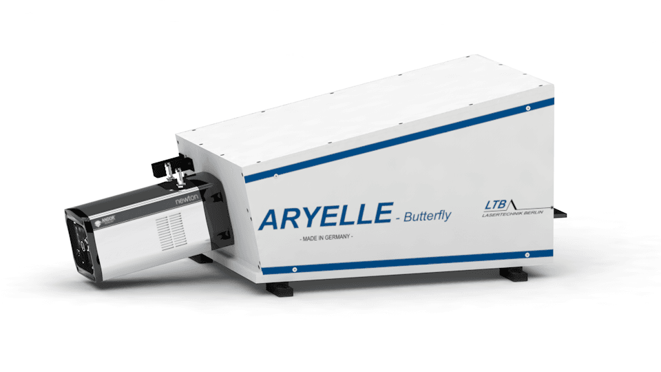 ARYELLE Butterfly
