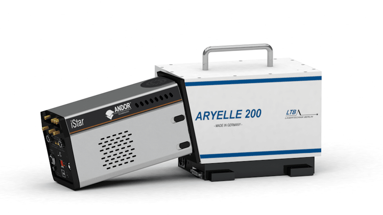 ARYELLE 200